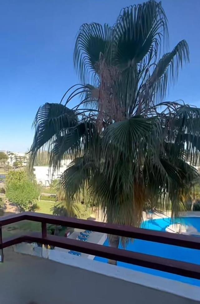 פורט ד'אלקודיה Bright Apartment In Puerto Alcudia מראה חיצוני תמונה